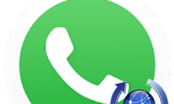 Как переустановить WhatsApp на Андроид без потери данных