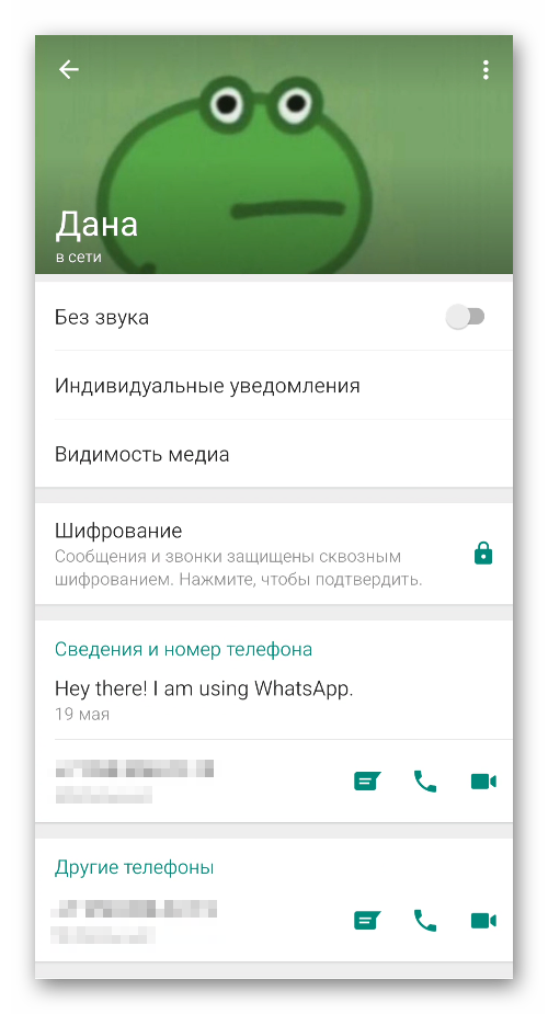 Страница пользователя в WhatsApp для Android