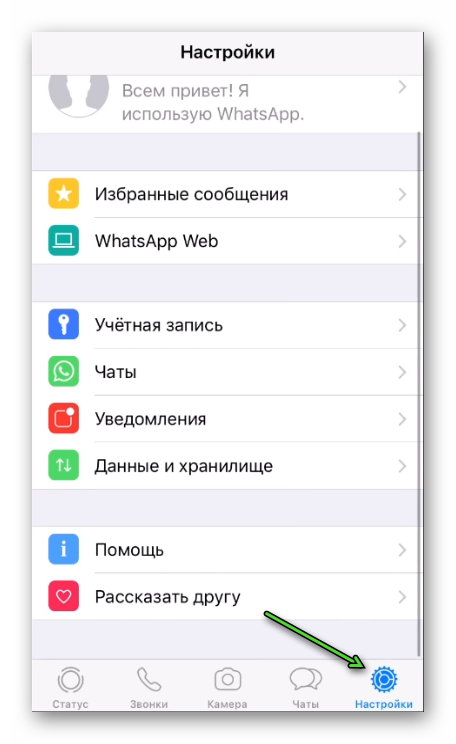 Иконка Настройки в WhatsApp на iPhone
