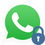 Заблокировали в Whatsapp: что видит пользователь после блокировки