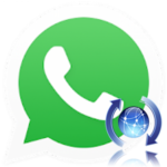 Как переустановить WhatsApp на Андроид без потери данных