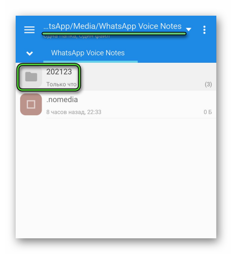 Поиск голосовых сообщений в Файловом менеджере Android