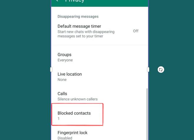 Как разблокировать контакт в Ватсапе на телефоне и компьютере: вернуть из спама