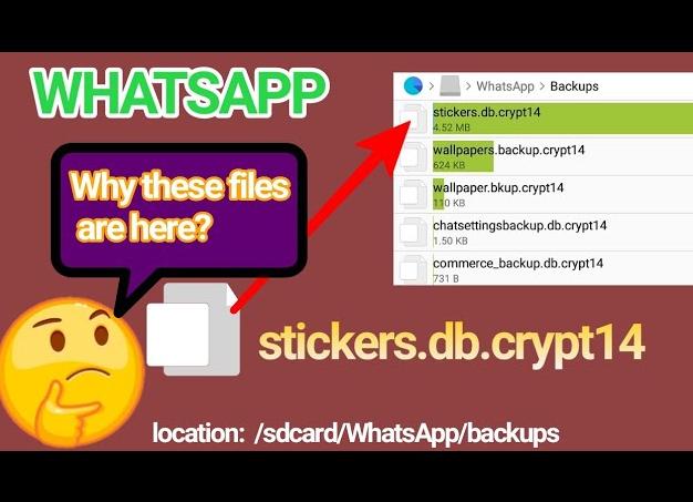 Что такое Databases WhatsApp и можно ли это удалить