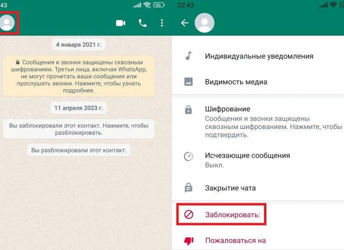 Черный список в Ватсапе — как заблокировать и разблокировать пользователя на Android и iPhone