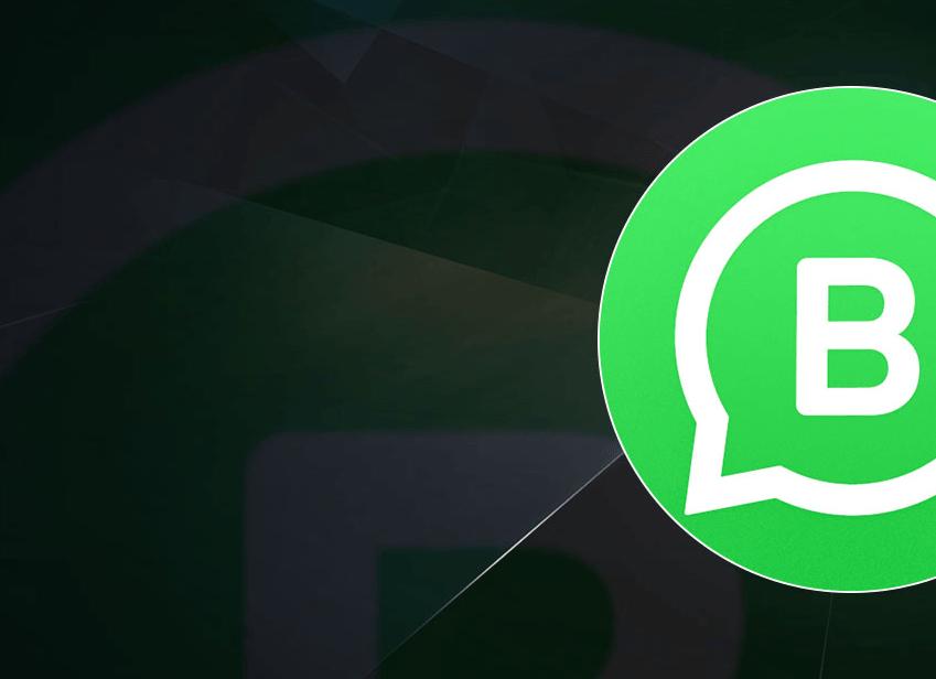 Скачать Ватсап на ноутбук: загрузка русской версии без телефона и регистрации